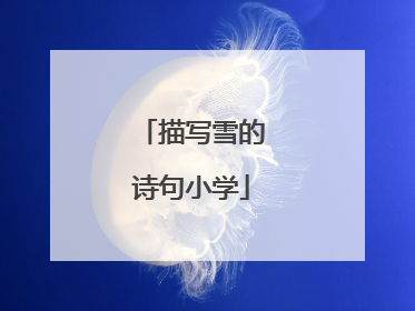 描写雪的诗句小学