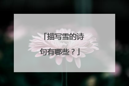 描写雪的诗句有哪些?