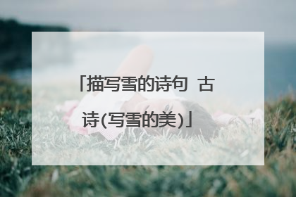 描写雪的诗句 古诗(写雪的美)