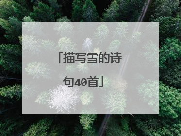 描写雪的诗句40首
