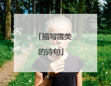 描写雪美的诗句