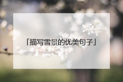 描写雪景的优美句子