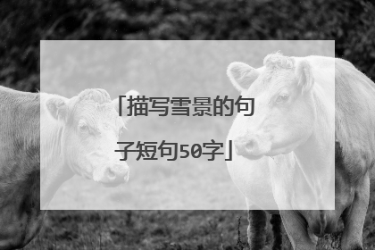 描写雪景的句子短句50字
