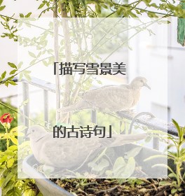 描写雪景美的古诗句