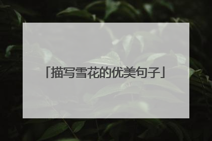 描写雪花的优美句子