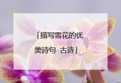 描写雪花的优美诗句 古诗