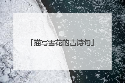描写雪花的古诗句