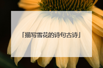 描写雪花的诗句古诗