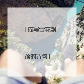 描写雪花飘落的诗句