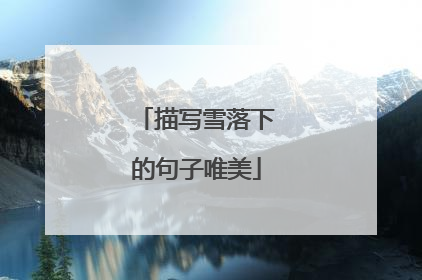 描写雪落下的句子唯美