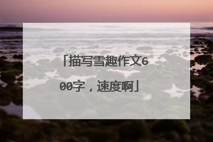 描写雪趣作文600字,速度啊
