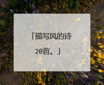 描写风的诗20首。