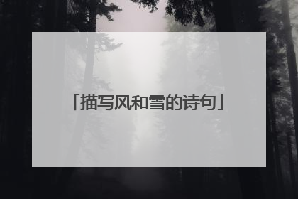 描写风和雪的诗句