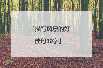 描写风景的好佳句30字