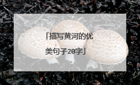 描写黄河的优美句子20字