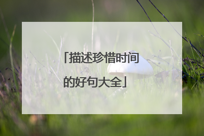 描述珍惜时间的好句大全