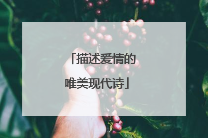 描述爱情的唯美现代诗