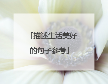 描述生活美好的句子参考