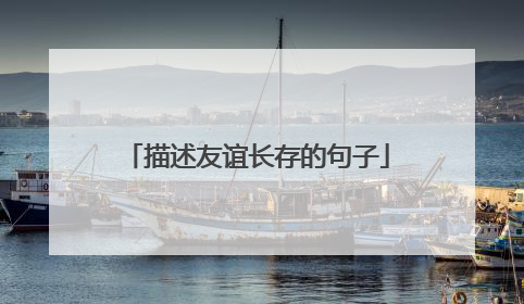 描述友谊长存的句子