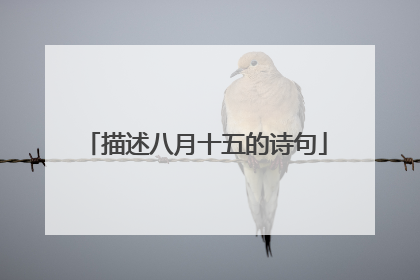 描述八月十五的诗句