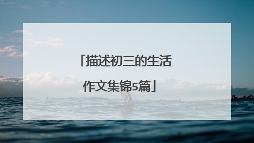 描述初三的生活作文集锦5篇