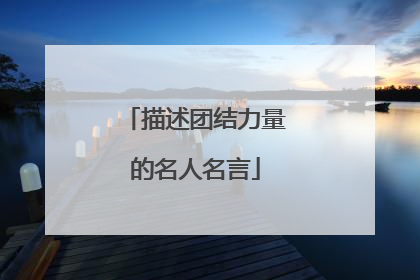 描述团结力量的名人名言