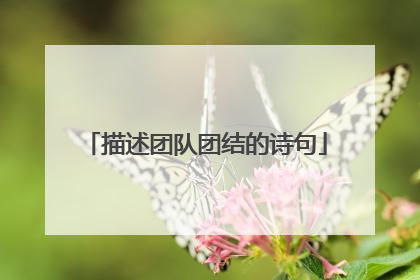 描述团队团结的诗句