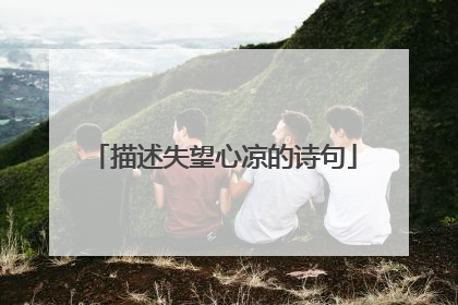 描述失望心凉的诗句