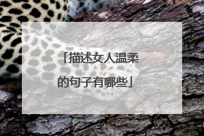 描述女人温柔的句子有哪些