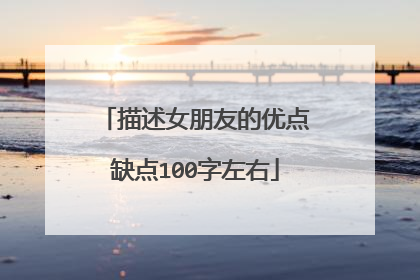 描述女朋友的优点缺点100字左右