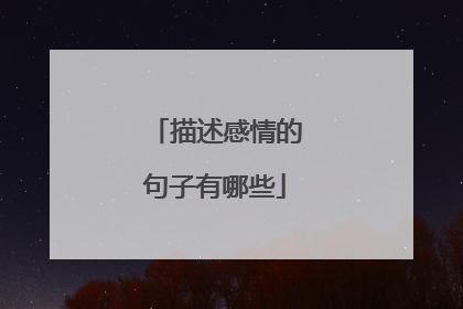 描述感情的句子有哪些