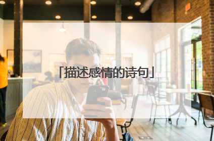 描述感情的诗句