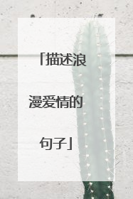 描述浪漫爱情的句子