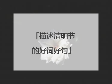 描述清明节的好词好句