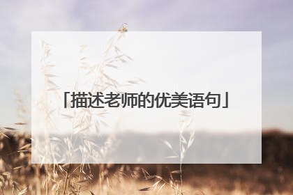 描述老师的优美语句