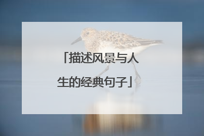 描述风景与人生的经典句子