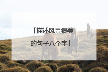 描述风景很美的句子八个字