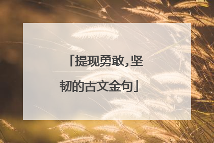 提现勇敢,坚韧的古文金句