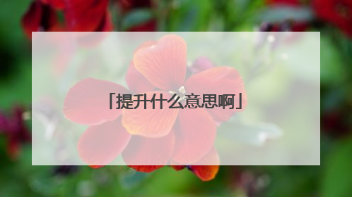 提升什么意思啊