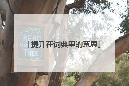 提升在词典里的意思