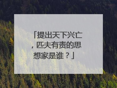 提出天下兴亡，匹夫有责的思想家是谁？