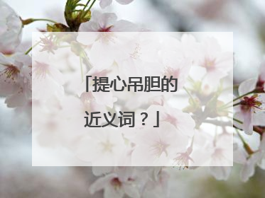 提心吊胆的近义词?