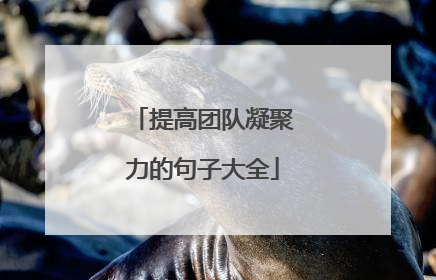 提高团队凝聚力的句子大全