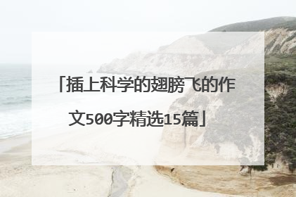 插上科学的翅膀飞的作文500字精选15篇