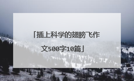 插上科学的翅膀飞作文500字10篇
