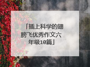 插上科学的翅膀飞优秀作文六年级10篇