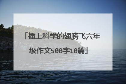 插上科学的翅膀飞六年级作文500字10篇