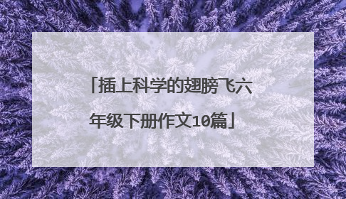 插上科学的翅膀飞六年级下册作文10篇