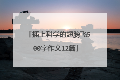 插上科学的翅膀飞500字作文12篇