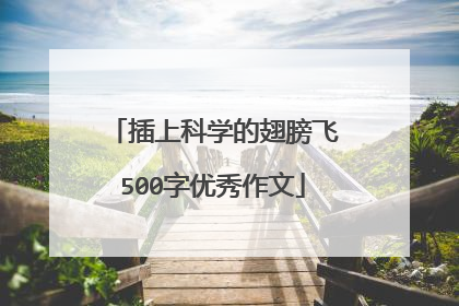 插上科学的翅膀飞500字优秀作文